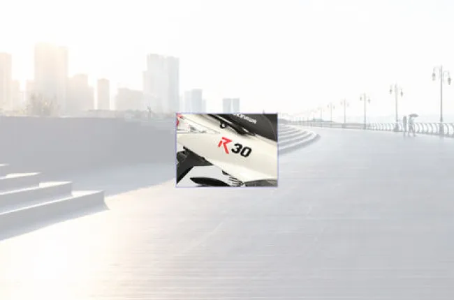 R30 Model Badge
