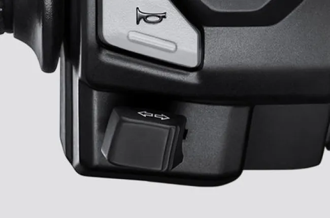 ADV 160 Turn Indicator Switches