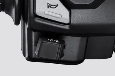 ADV 160 Turn Indicator Switches