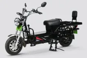 Evolet Dhanno