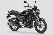 Yamaha FZ X