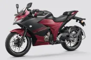 Gixxer SF 250 Flex Fuel